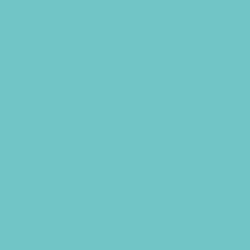 Aqua Colour Swatch