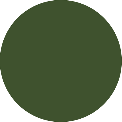 Ironclad OD Green Swatch