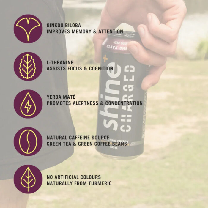 Shine Charged Black Cherry Nootropic Energy Drink - 500ml