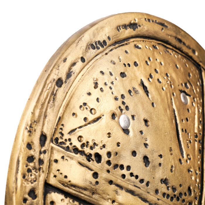 Leonidas' Spartan CosPlay Shield Replica from 300